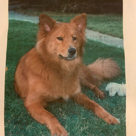 Single Stitched Hanes Short Sleeve Large - Picture 4 of 8